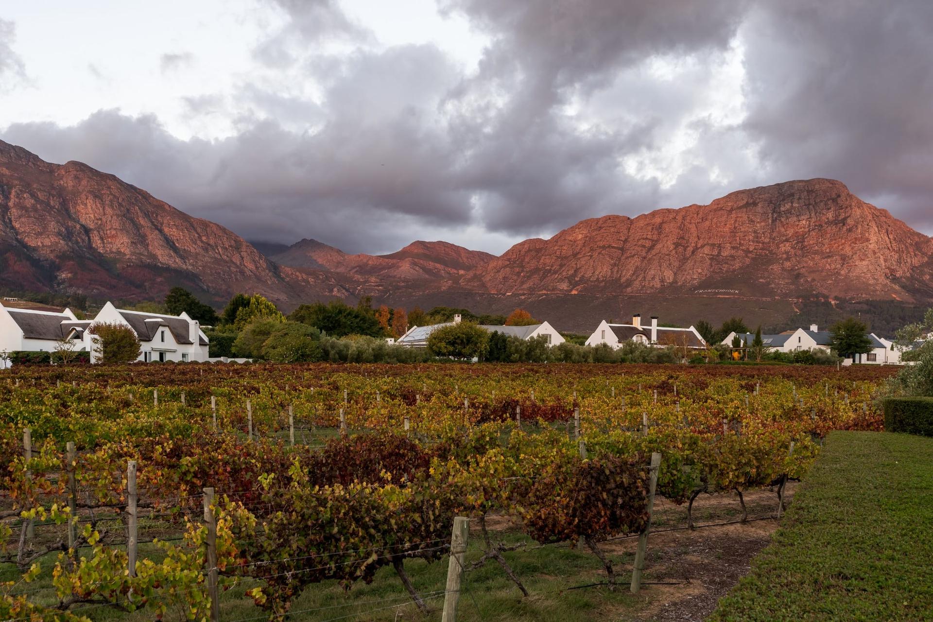 Franschhoek Thatched Vineyard Home — photograph 2
