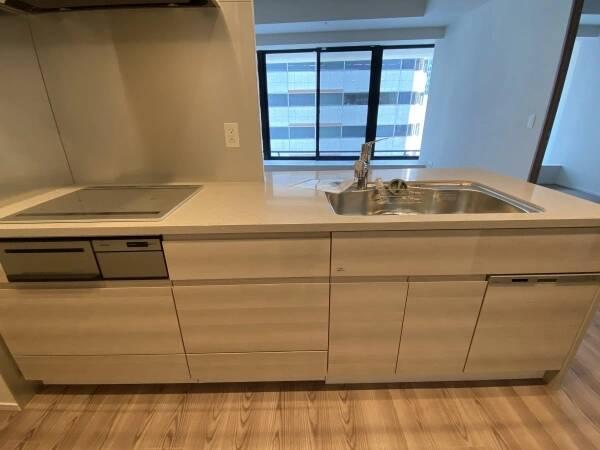 Brillia Tower Dojima – 11th-Floor Residence — photograph 4