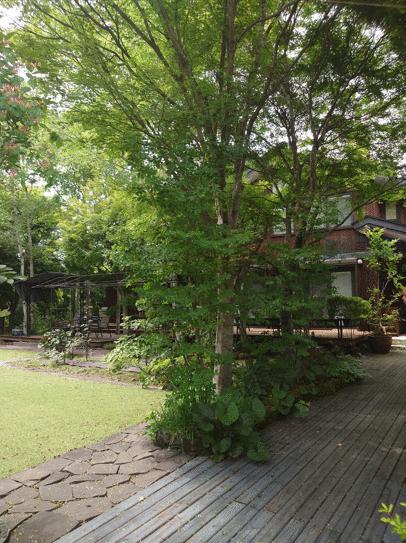 Detached House in Karuizawa — photograph 5