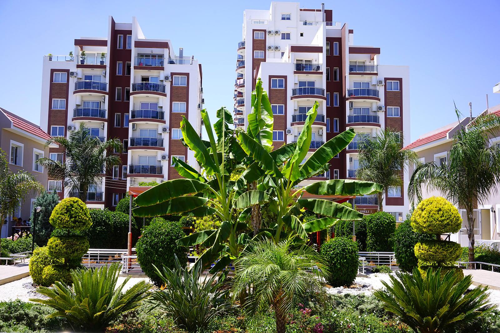 Apartments in Yeni İskele, İskele — photograph 3