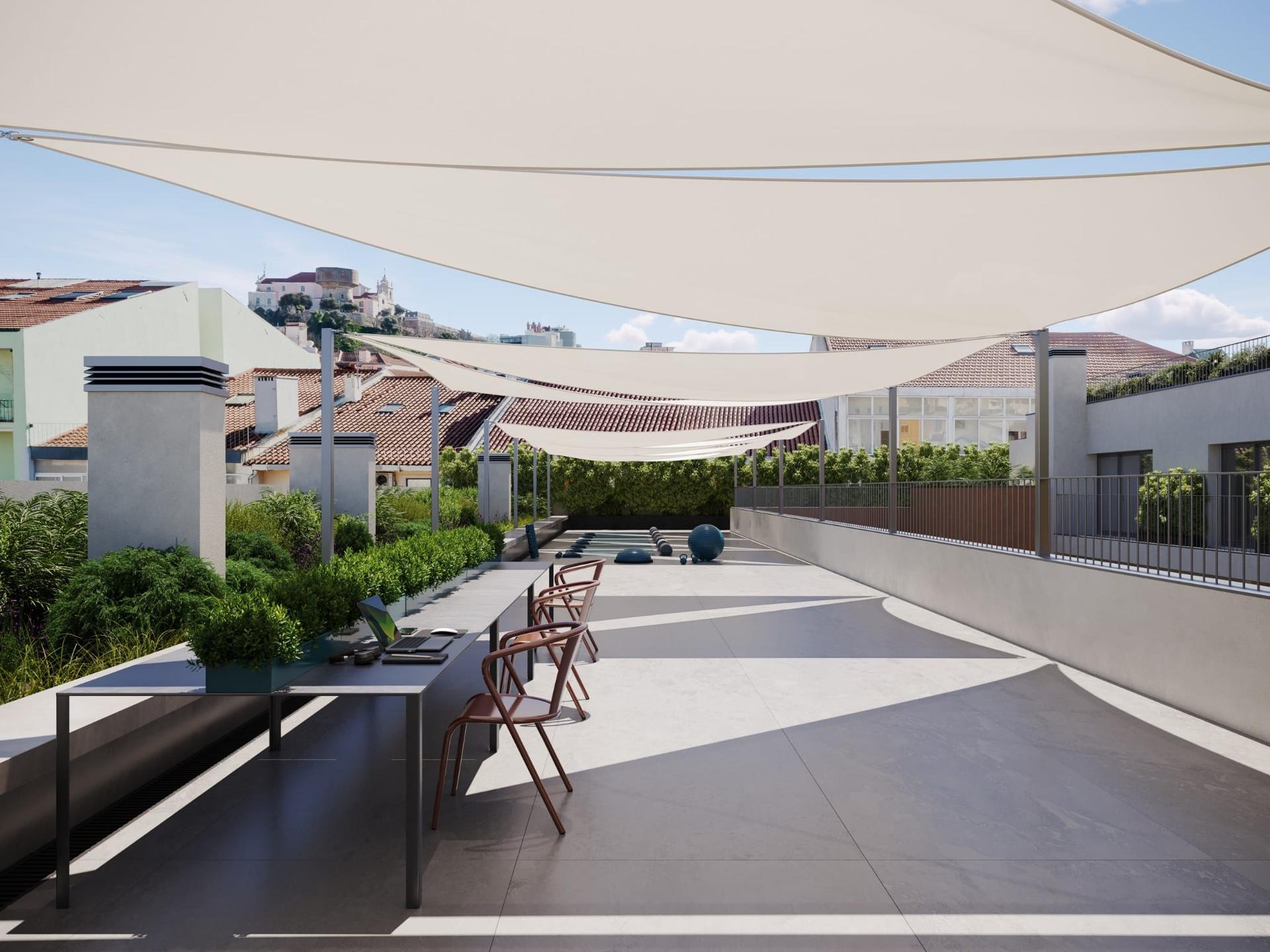 Freedom — photograph 2