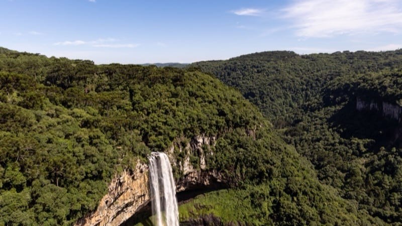 Brazil Investor Guide
