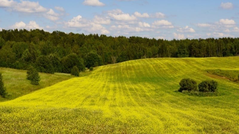 Lithuania Investor Guide