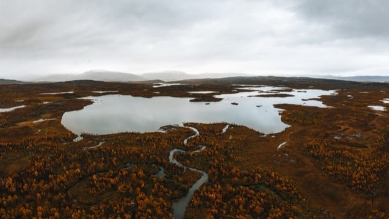 Sweden Investor Guide