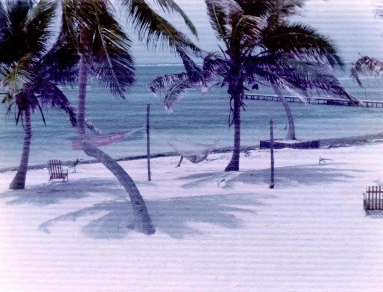 Ambergris Caye City Guide