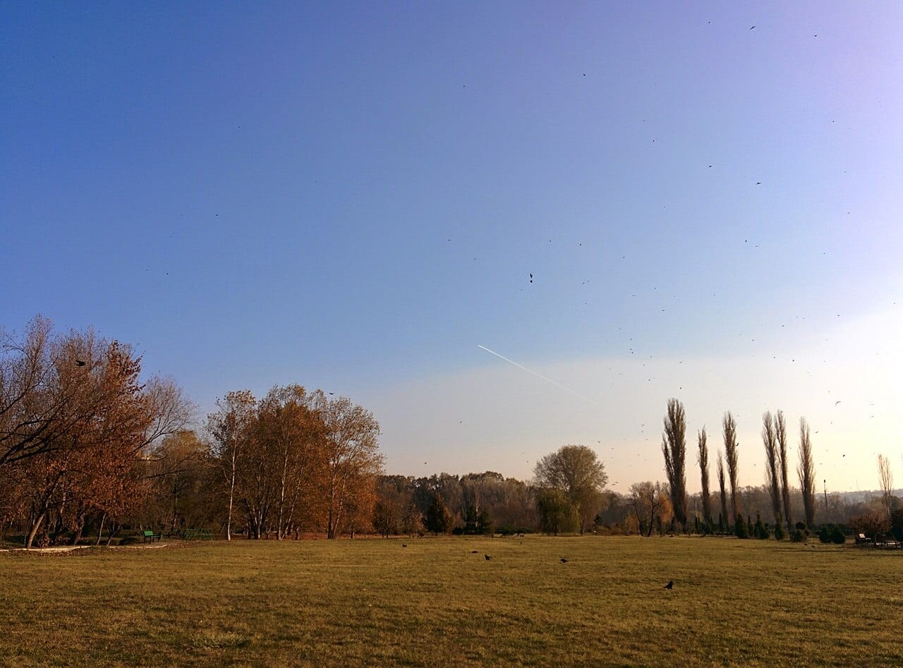 Chișinău City Guide
