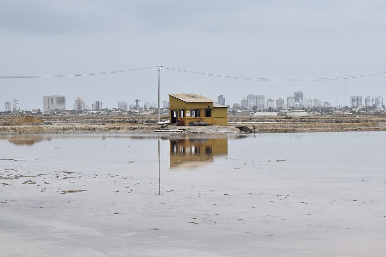 Salinas