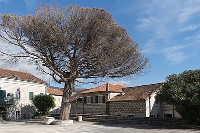 Herceg Novi Old Town