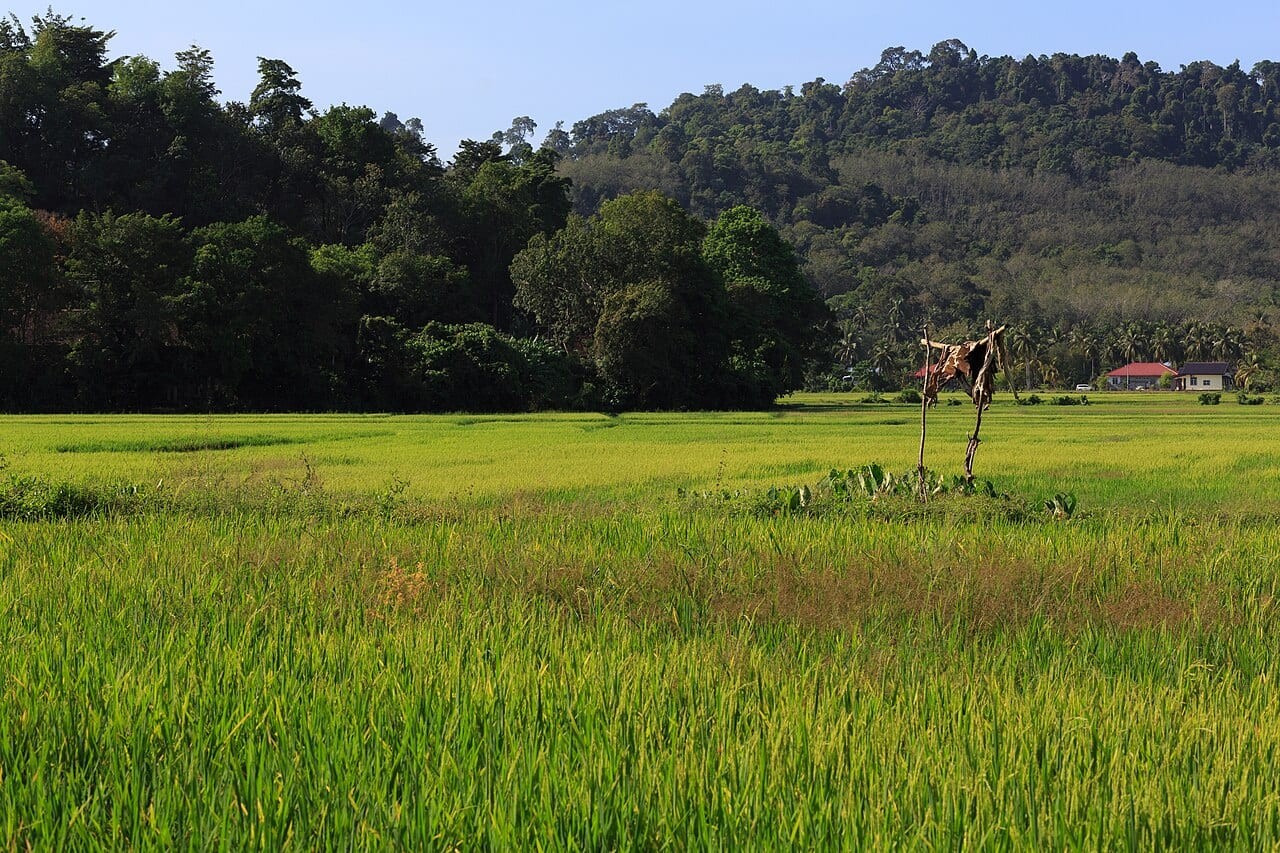 Datai Bay (Teluk Datai)
