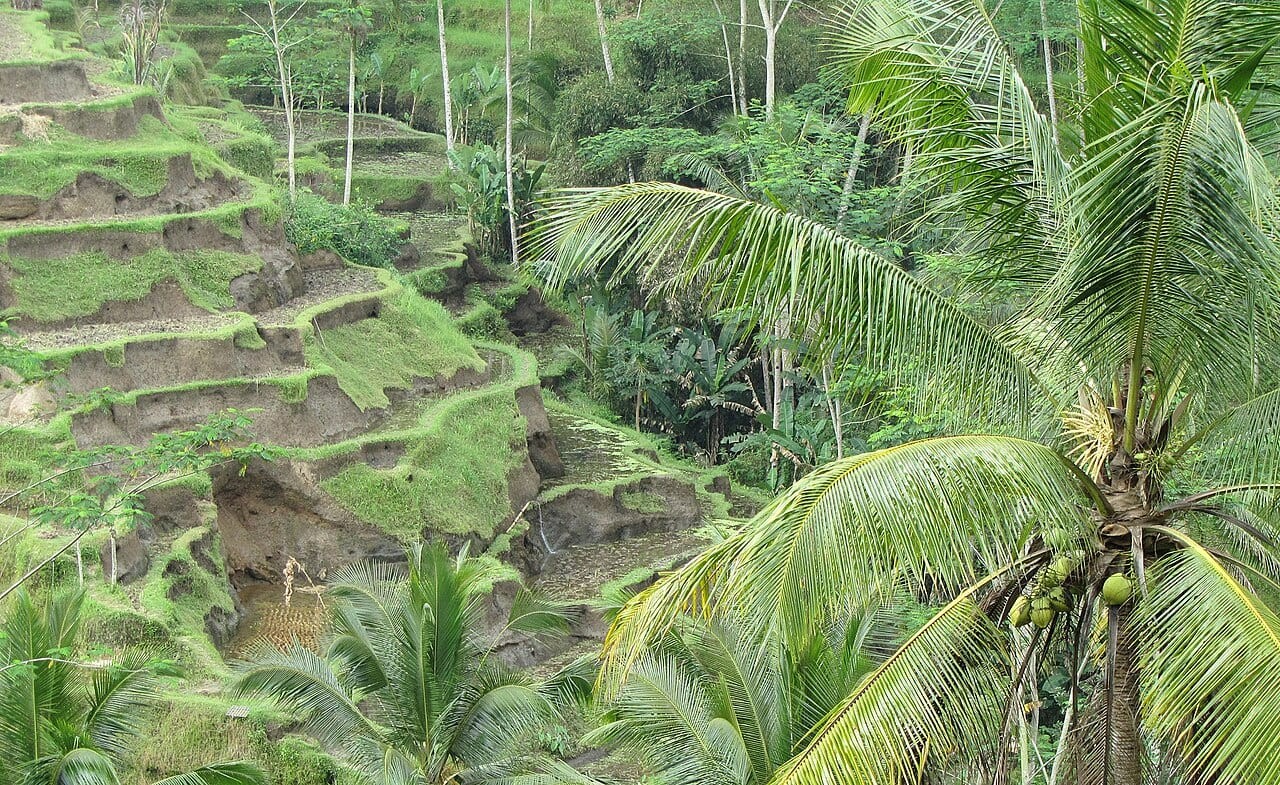 Tegallalang