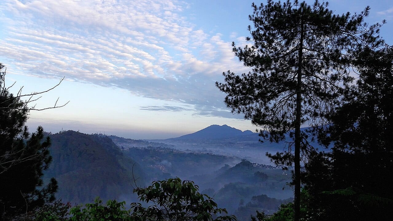 Dago