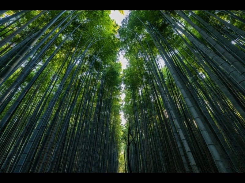 Arashiyama