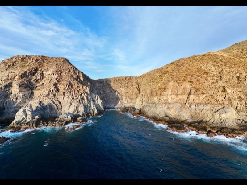 La Cachora